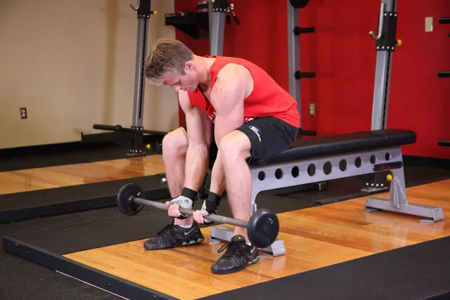 Seated Close-Grip Concentration Barbell Curl